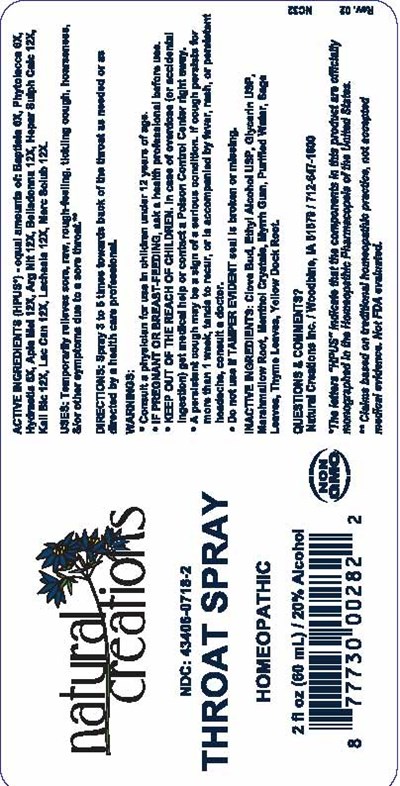 image description - Throat Spray Rev.2